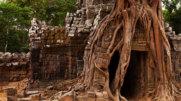 Visit The Angkor Ruins