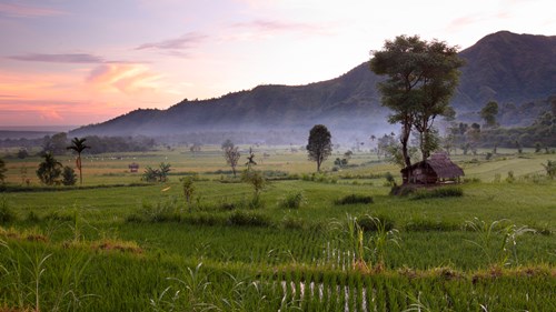 Exploration and Adventure in Indonesia: Aman Resorts