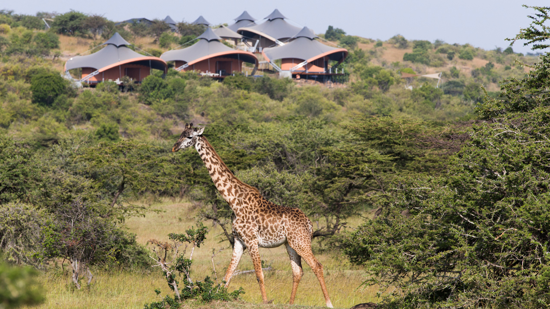  Mahali Mzuri, Masai Mara